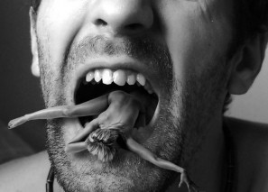 Женоненавистник